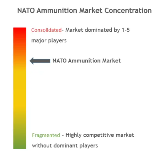 NATO Ammunition Market Concentration